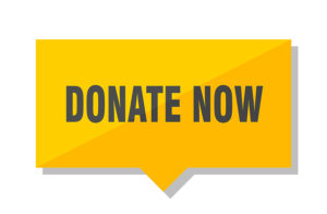 Donate Button
